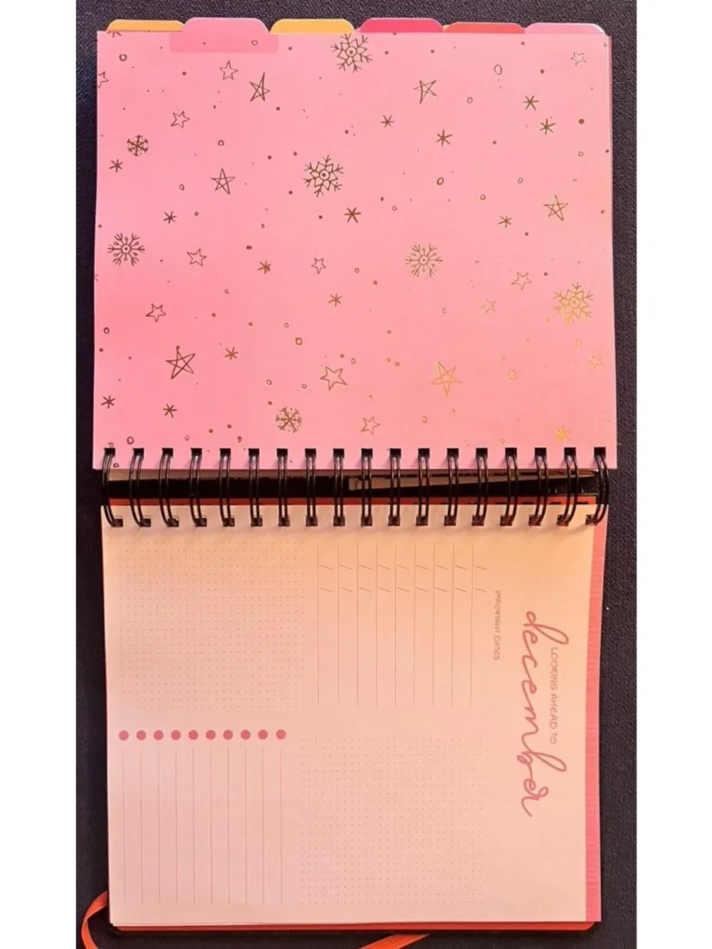 SKULL & ROSES 17 Month 2026-2027 Planner Month Day Week Organizer Planning Note